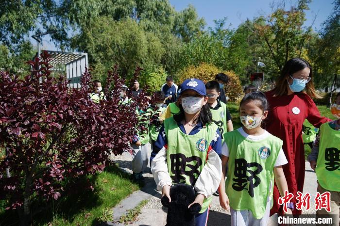 圖為小朋友在青海西寧湟水國家濕地公園內(nèi)認(rèn)識(shí)植物。　馬銘言 攝