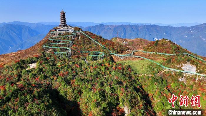 巴山大峽谷彩林迎來最佳觀賞期。　姚盛 攝
