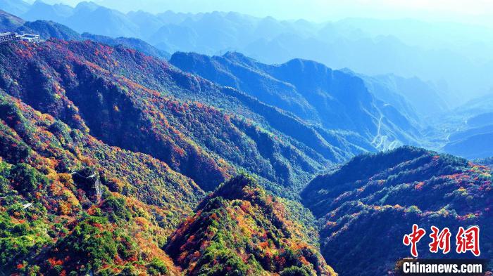 巴山大峽谷彩林迎來最佳觀賞期?！埰?攝