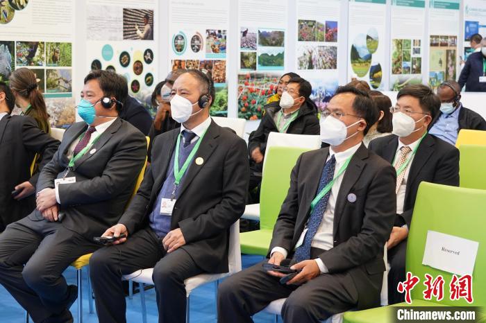 圖為極小種群物種和生物多樣性保護(hù)邊會(huì)現(xiàn)場?！≡颇鲜×謽I(yè)和草原局供圖
