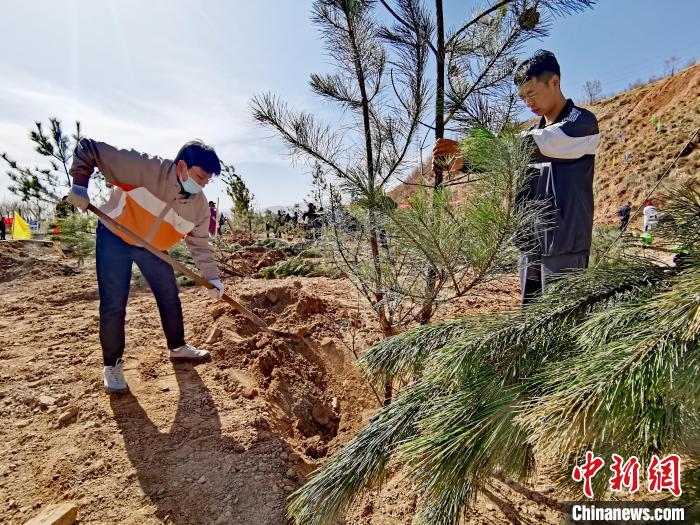 圖為西寧市城東區(qū)義務植樹活動現(xiàn)場?！?zhí)砀?攝