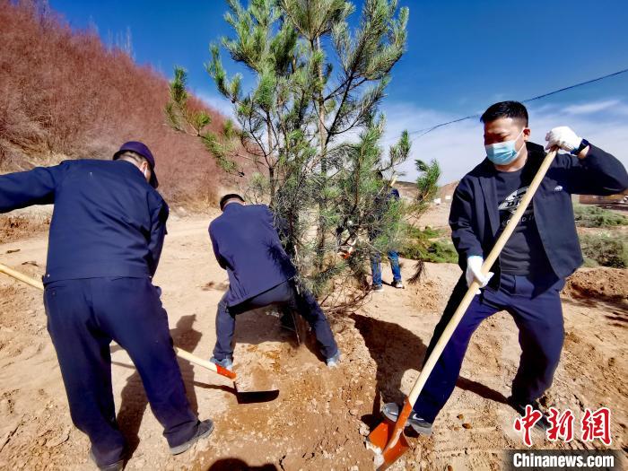 圖為西寧市城東區(qū)義務植樹活動現(xiàn)場?！?zhí)砀?攝