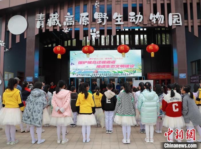 圖為青海省西寧市開展第42屆“愛鳥周”科普宣傳活動?！●R銘言 攝