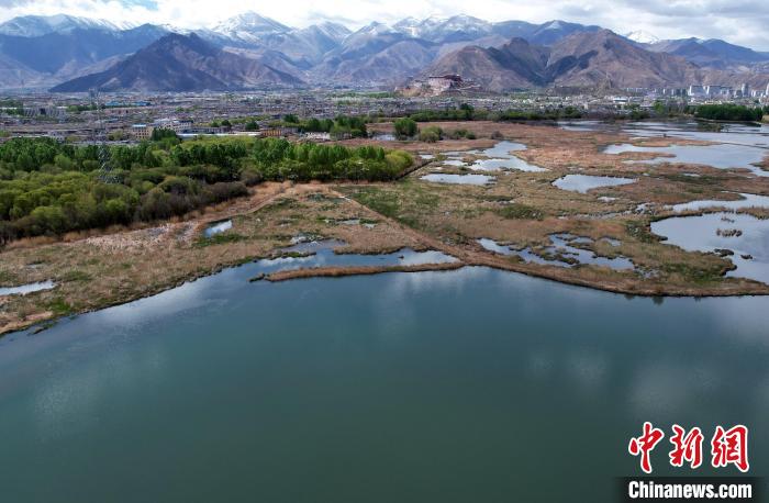 圖為拉薩拉魯濕地。(無人機照片) 李林 攝