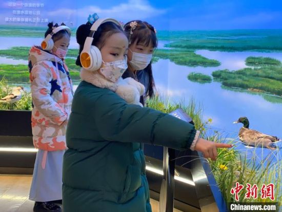 圖為學生在西寧市第一中學濕地科普宣教館內參觀。　李江寧 攝
