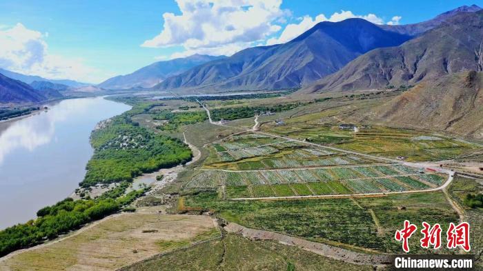 圖為桑日縣葡萄種植基地。　山南桑日縣委宣傳部提供