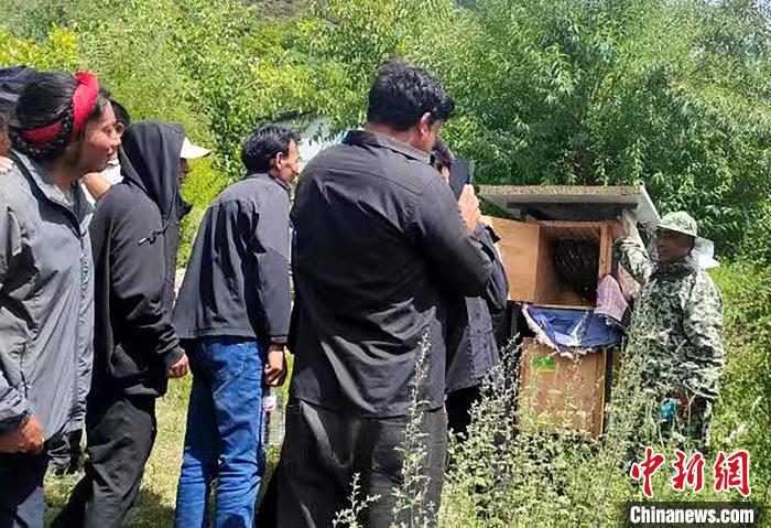 拉久西村村民學習養(yǎng)蜂工作流程和防范事項?！〔际忻⒖悼h委宣傳部供圖