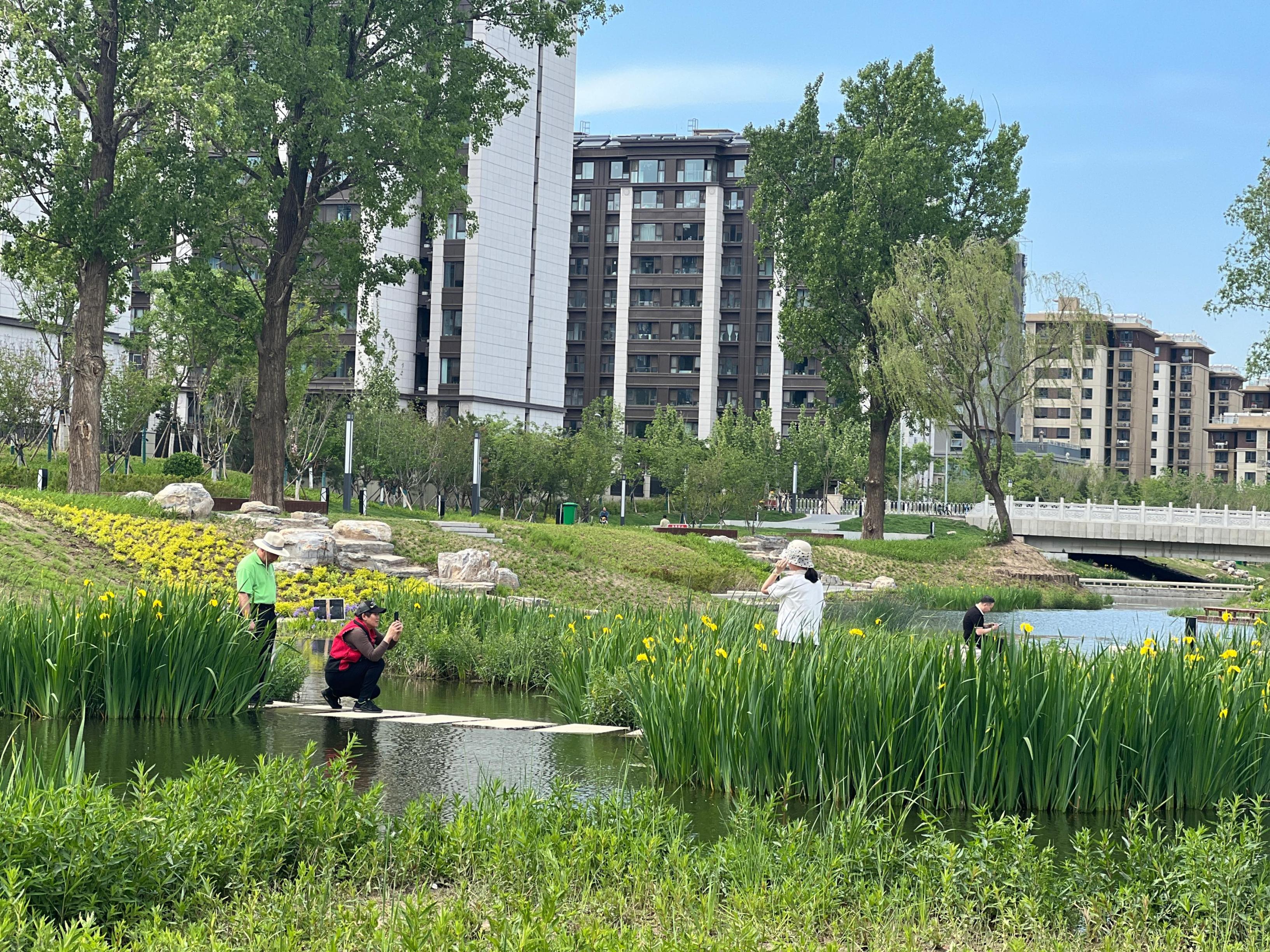 五一渠生態(tài)濱河公園內(nèi)，市民正在拍照留念。人民網(wǎng) 歐陽(yáng)易佳攝