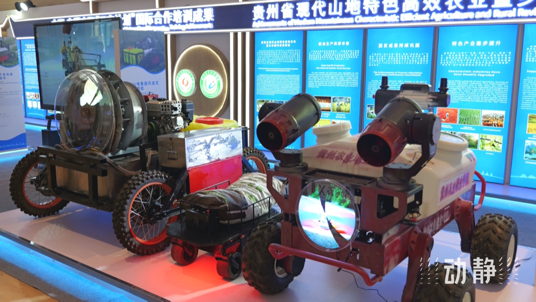 展示成果分享經(jīng)驗，中國—東盟教育交流周深化合作共創(chuàng)未來！