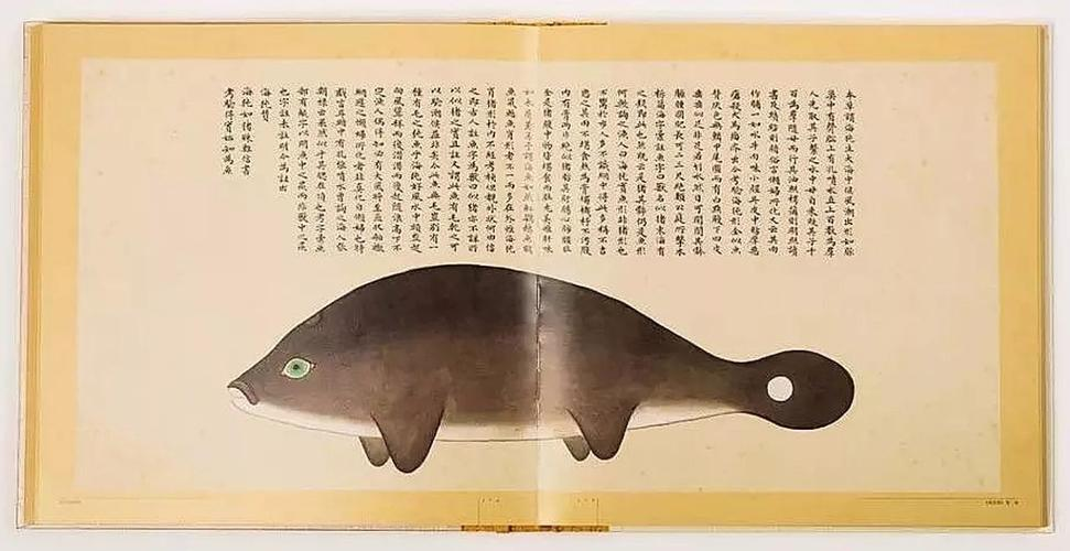 文化中國行 長江之歌丨微笑的江豚，從四千年前“游”來
