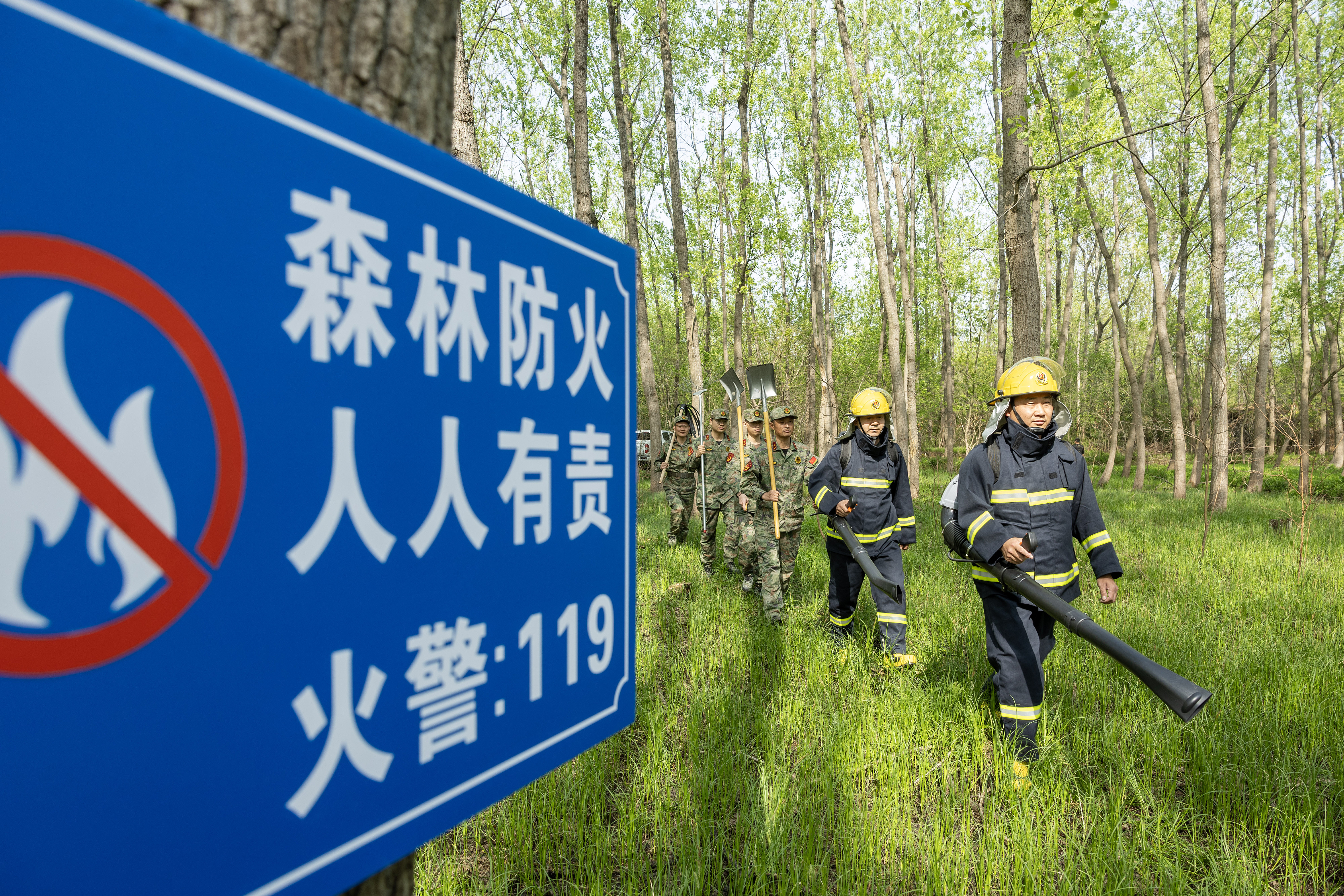 2024年4月9日，合肥市大房郢水庫(kù)水源保護(hù)地廬陽(yáng)經(jīng)濟(jì)開發(fā)區(qū)段，基干民兵正在林間巡查火災(zāi)隱患。