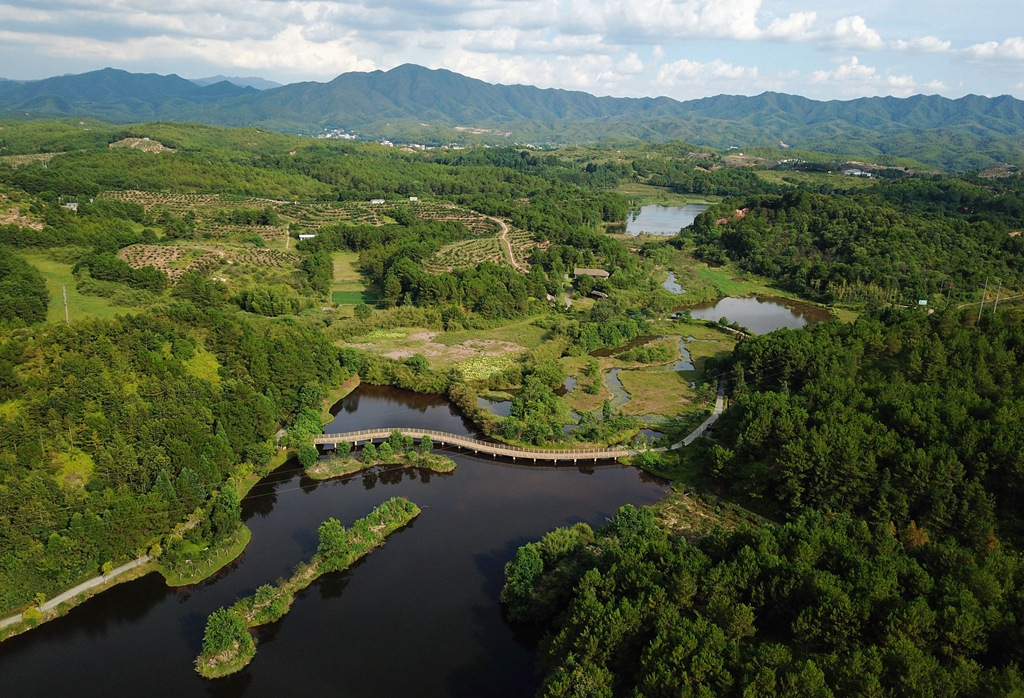 福建省龍巖市長(zhǎng)汀縣的長(zhǎng)汀汀江國(guó)家濕地公園景色（2020年7月28日攝，無人機(jī)照片）。新華社記者 魏培全 攝