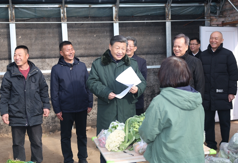 2024年2月1日，習(xí)近平總書記在天津市西青區(qū)辛口鎮(zhèn)第六埠村，走進(jìn)大棚同菜農(nóng)親切交流。