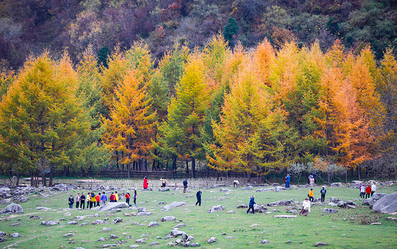 2023年10月27日，深秋時(shí)節(jié)的陜西秦嶺太子嶺漫山紅黃、色彩交織，進(jìn)入最佳觀賞期。