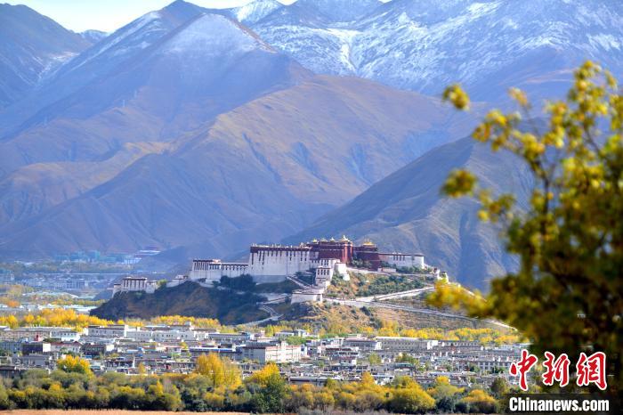 10月24日，雪山、布達(dá)拉宮和秋色組成“風(fēng)景畫(huà)”?！〗w波 攝
