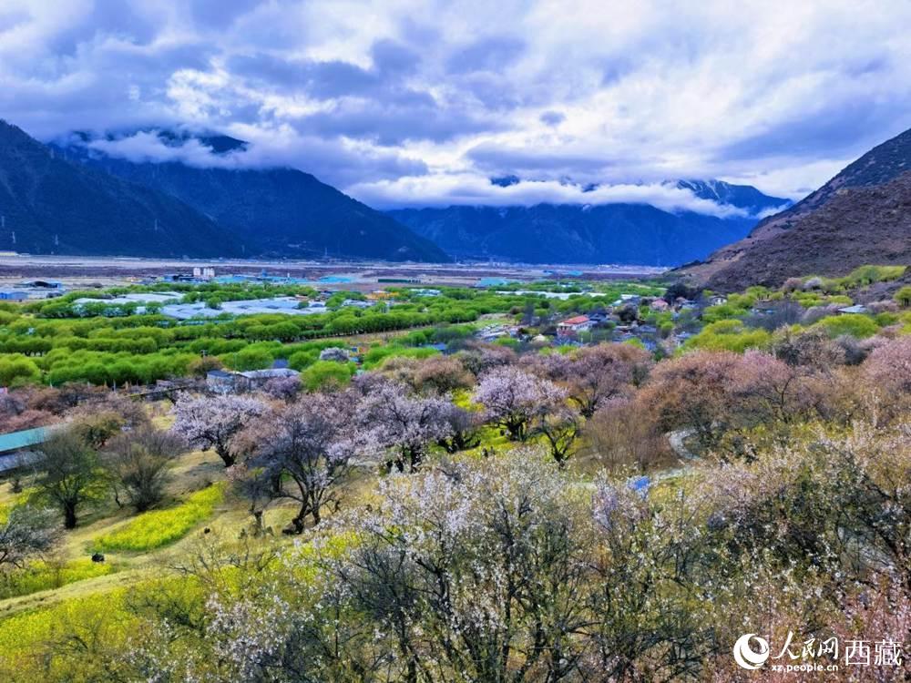 桃花從中的“童話小鎮(zhèn)”。人民網(wǎng) 李海霞攝