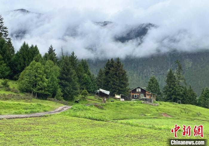 6月10日，魯朗小鎮(zhèn)高山牧場景區(qū)風光?！∪轿木?攝