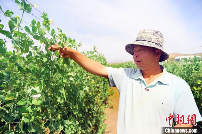 當?shù)鼐用駨埡Ａ衷谧约彝愣固锢锊烧?。　高?攝