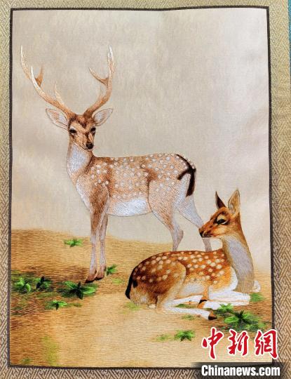 圖為藏繡作品?！∑钤鲚?攝