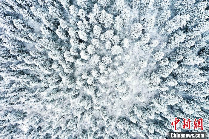 壤塘的雪后美景?！∪捞量h融媒體中心供圖