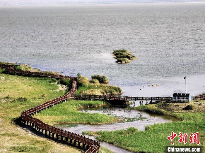 圖為都蘭湖國(guó)家濕地公園觀(guān)光棧道。　祁增蓓 攝
