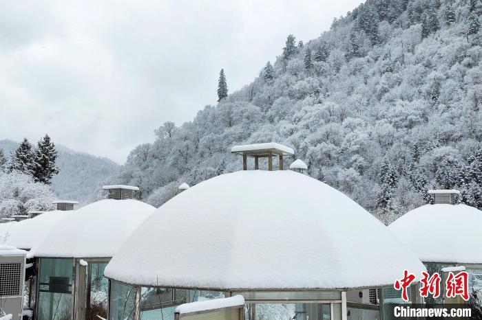 大熊貓國家公園王朗片區(qū)春雪如畫，宛若仙境?！×_春平 攝