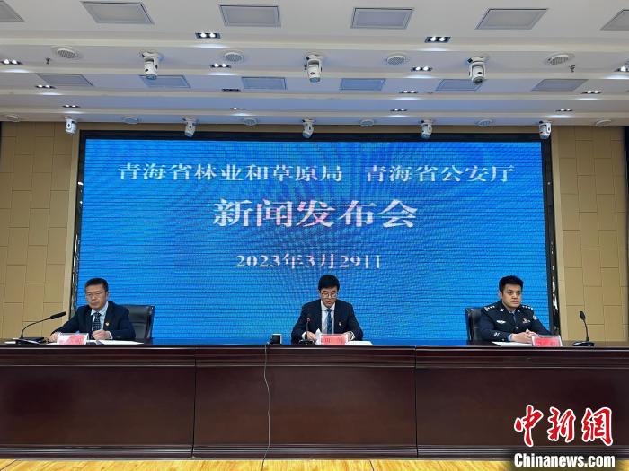 青海去年占用林地、草地準予許可件同比實現(xiàn)“雙減”