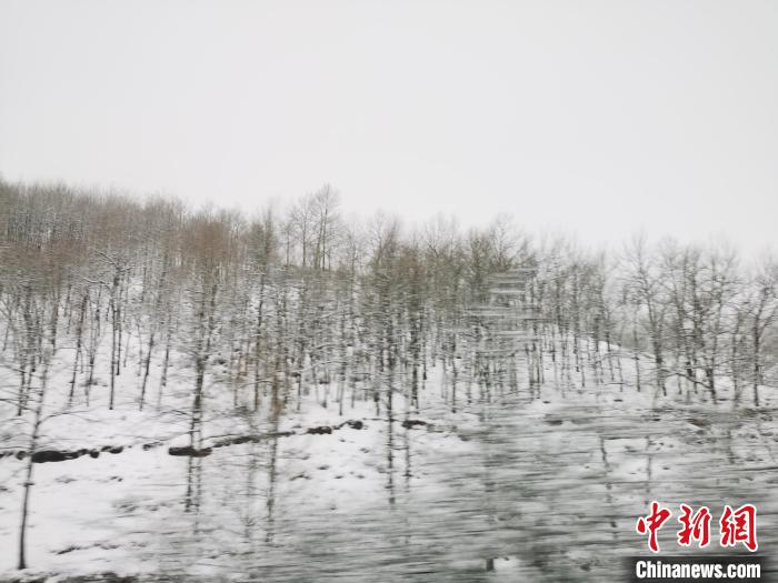 圖為青海青沙山區(qū)域被降雪覆蓋?！?zhí)砀?攝