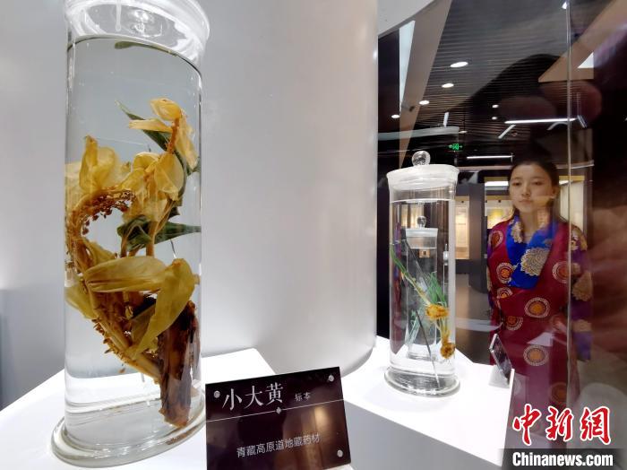青海中藏醫(yī)藥發(fā)展提速：建設(shè)一批重點(diǎn)?？茖W(xué)科，推廣一批適宜技術(shù)