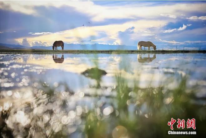 資料圖：那曲市申扎縣境內(nèi)的濕地。李雪峰 攝