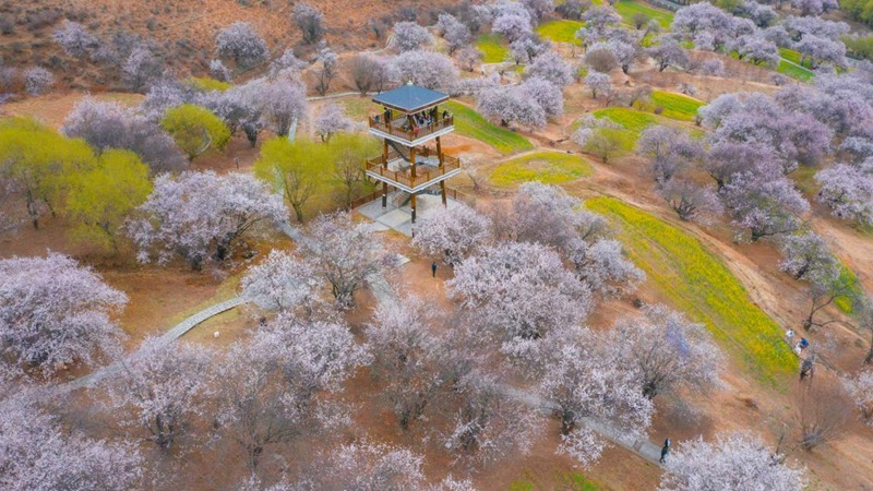林芝嘎拉村。 張靜攝