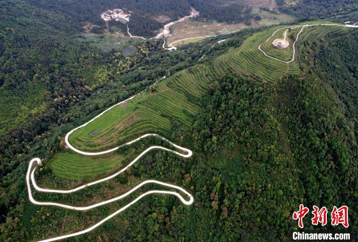 圖為西藏林芝市墨脫縣背崩鄉(xiāng)格林村山頂?shù)木坝^茶園。(無人機照片) 李林 攝