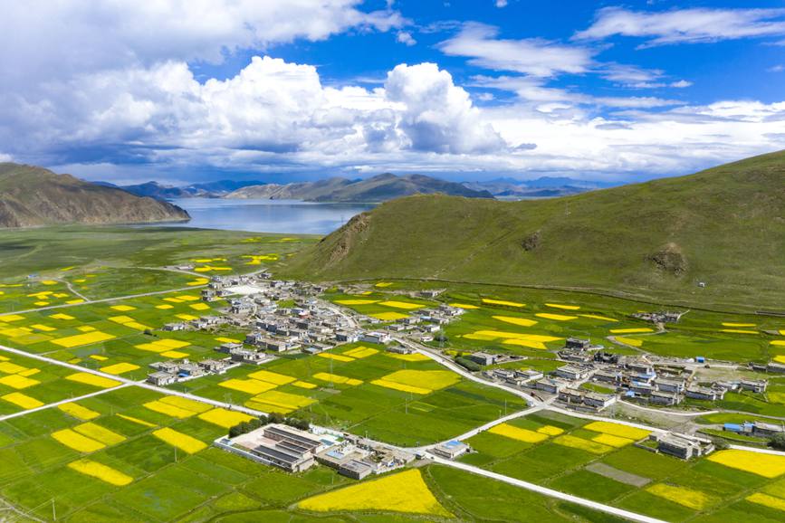 航拍道布龍村，依山傍水，阡陌縱橫。
