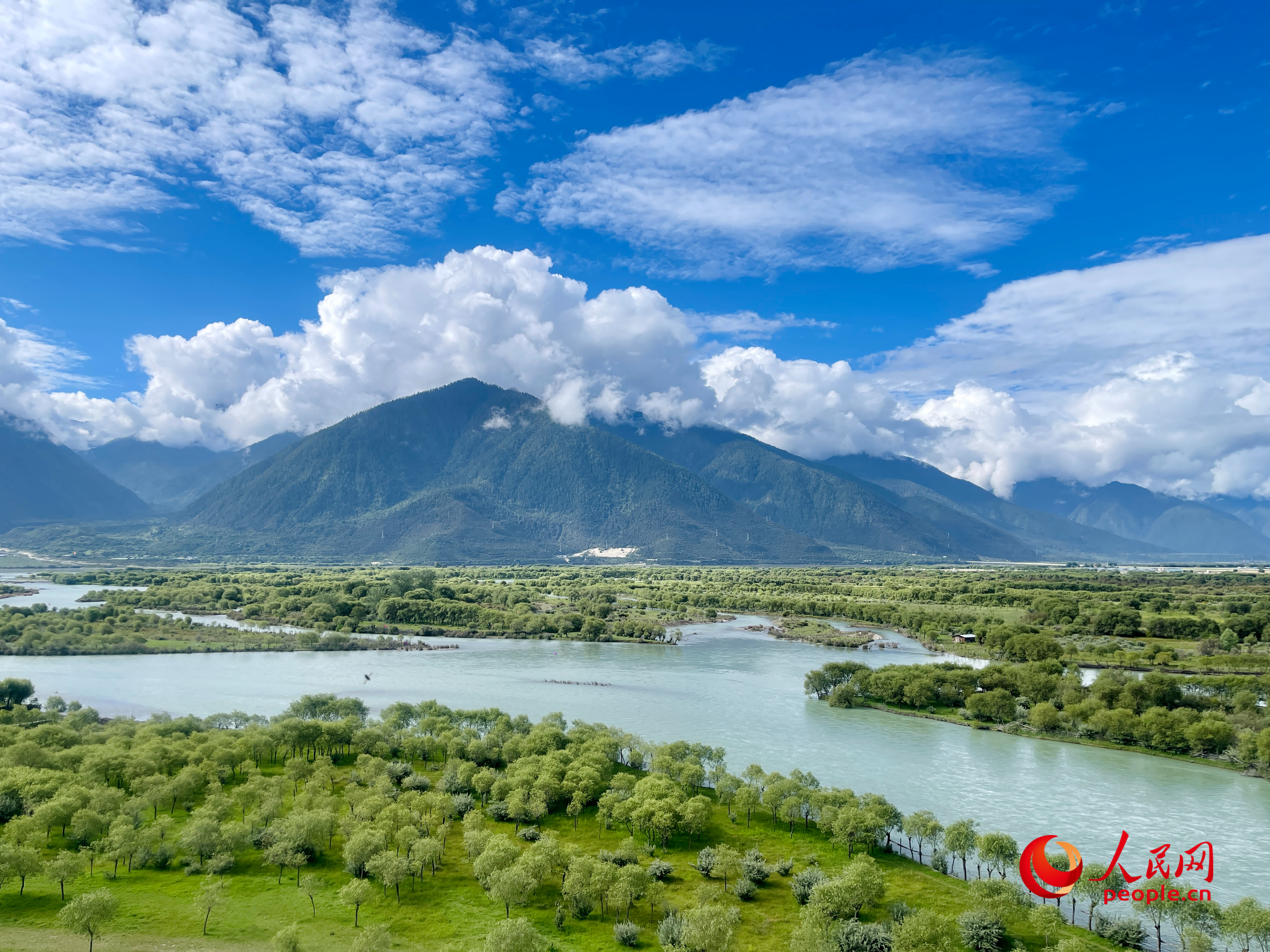 夏日的雅尼國家濕地公園生機盎然，如詩如畫。人民網(wǎng) 周靜圓攝