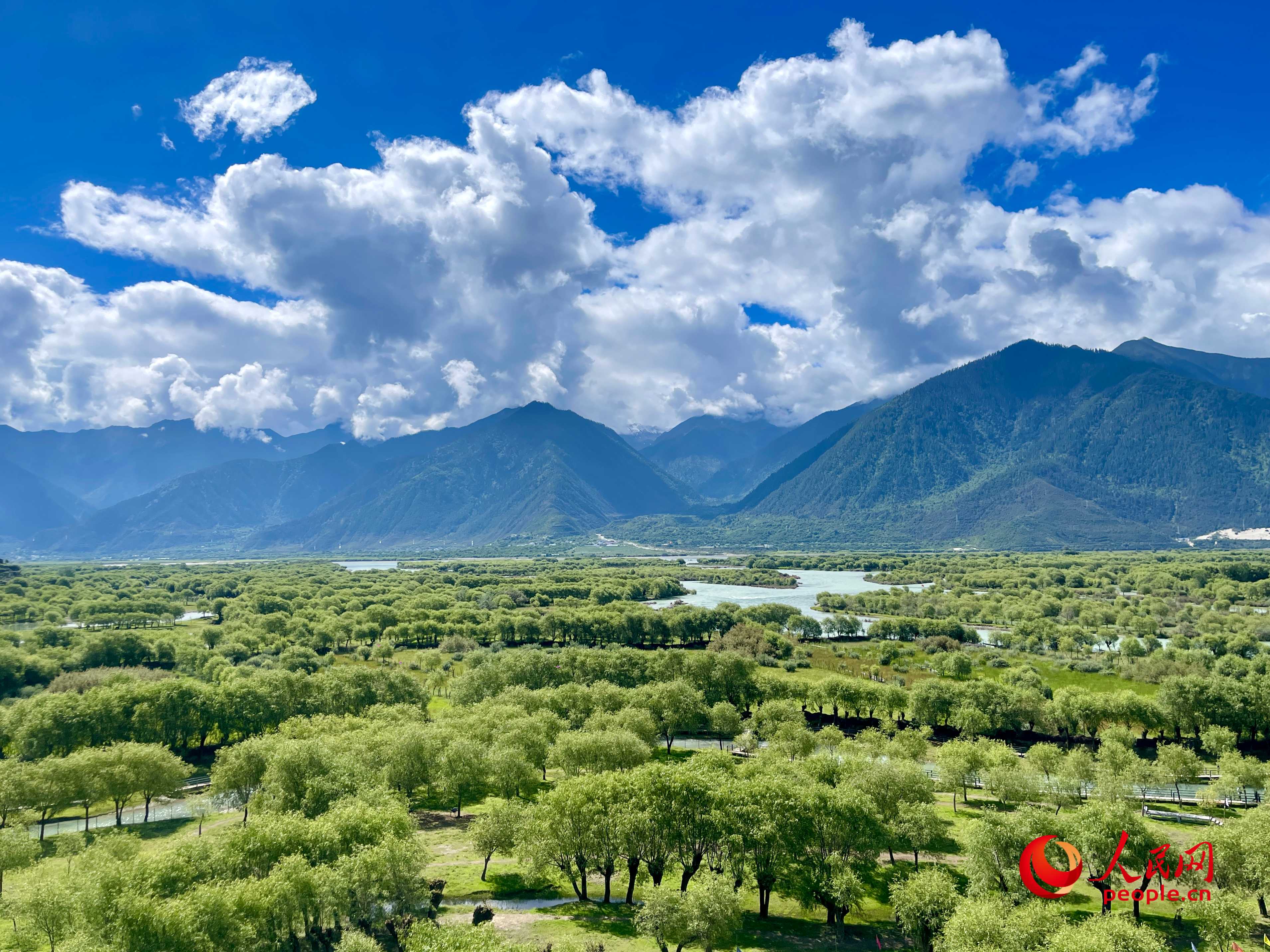 夏日的雅尼國家濕地公園生機盎然，如詩如畫。人民網(wǎng) 周靜圓攝