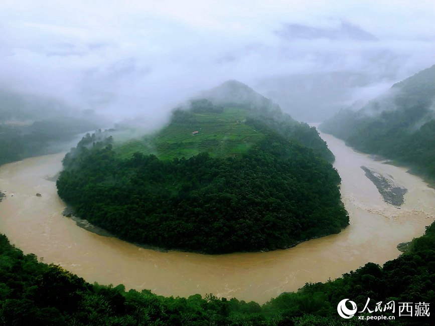 雅魯藏布江大峽谷蛇形拐彎處，山坡上種滿茶樹。