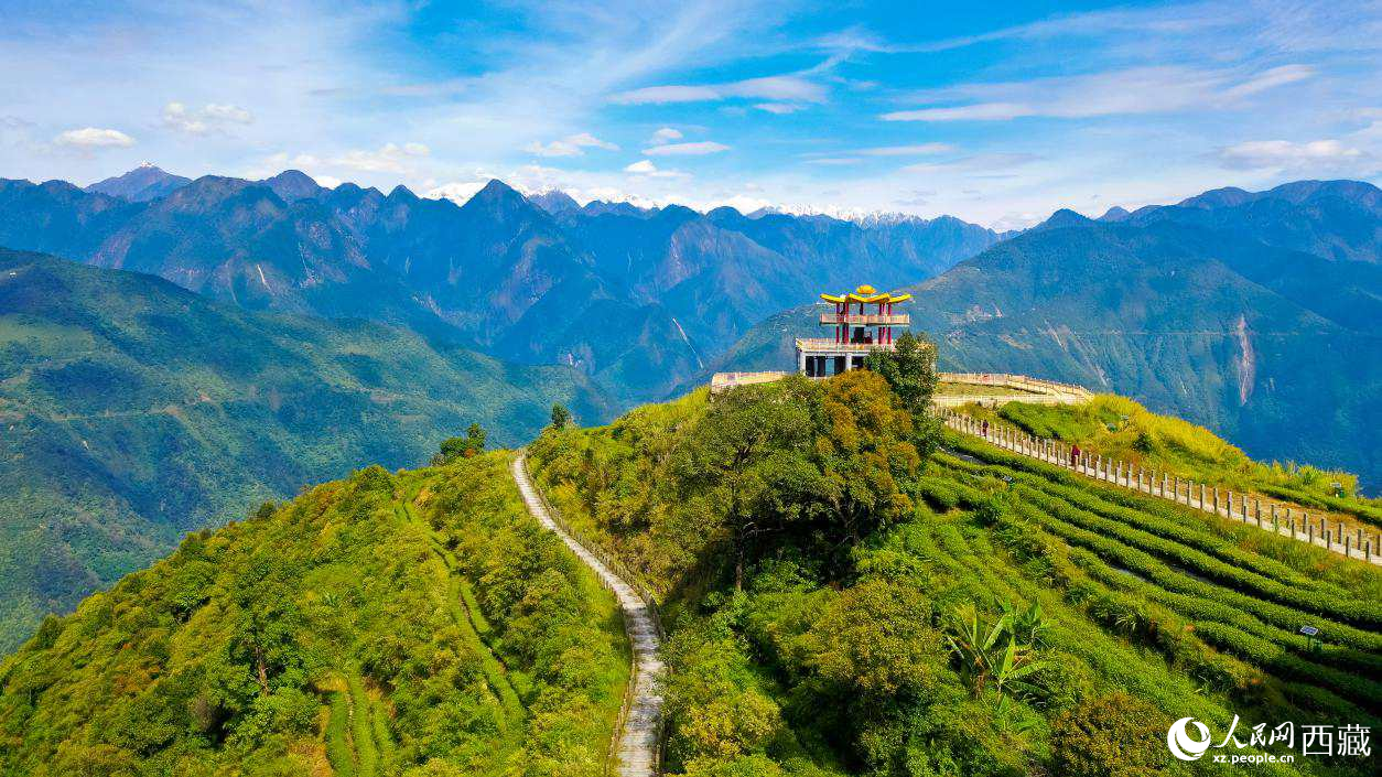 無人機(jī)航拍墨脫縣格林村蓮花觀景臺。人民網(wǎng)記者 次仁羅布攝