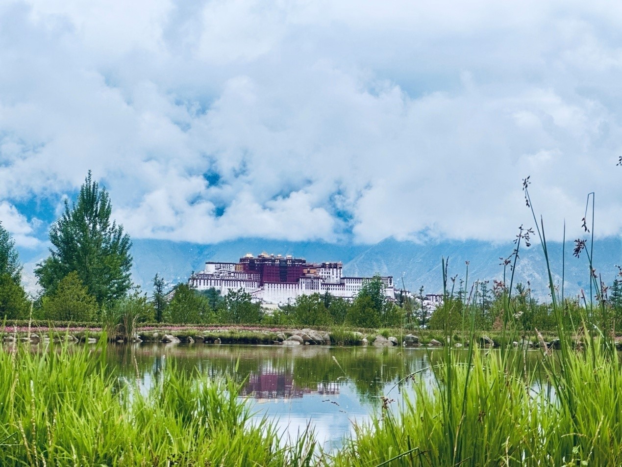 在南山公園遠(yuǎn)眺布達(dá)拉宮。人民網(wǎng)記者 益西康珠攝