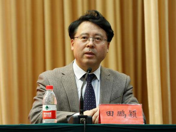 田鵬穎：投入其中、樂在其中、安身其中